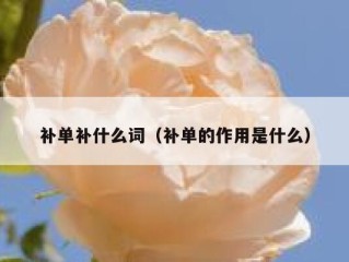 补单补什么词（补单的作用是什么）