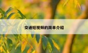 交通短视频的简单介绍