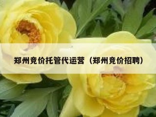 郑州竞价托管代运营（郑州竞价招聘）