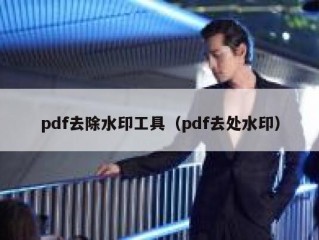 pdf去除水印工具（pdf去处水印）