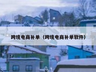 跨境电商补单（跨境电商补单软件）