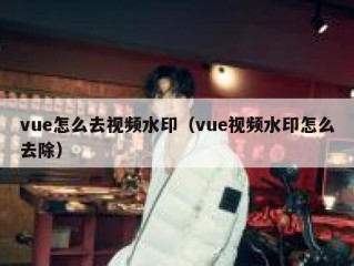 vue怎么去视频水印（vue视频水印怎么去除）