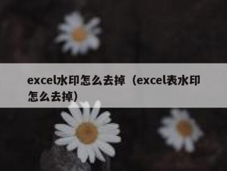 excel水印怎么去掉（excel表水印怎么去掉）