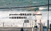 premiere视频去水印（premiere去除视频水印）