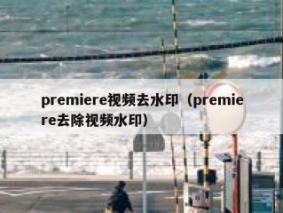 premiere视频去水印（premiere去除视频水印）