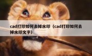 cad打印如何去掉水印（cad打印如何去掉水印文字）