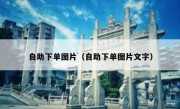 自助下单图片（自助下单图片文字）