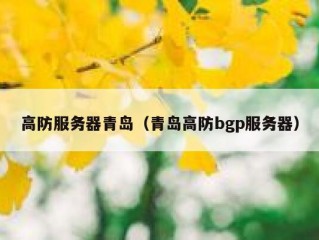 高防服务器青岛（青岛高防bgp服务器）