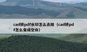 cad转pdf水印怎么去除（cad转pdf怎么变成空白）