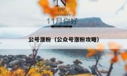 公号涨粉（公众号涨粉攻略）