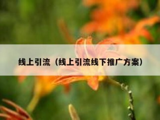 线上引流（线上引流线下推广方案）