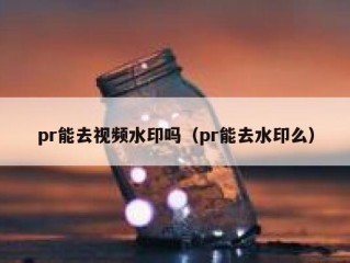 pr能去视频水印吗（pr能去水印么）