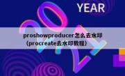 proshowproducer怎么去水印（procreate去水印教程）