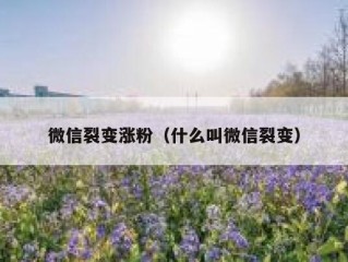 微信裂变涨粉（什么叫微信裂变）