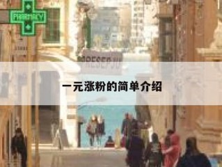 一元涨粉的简单介绍