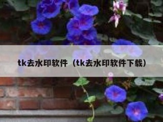 tk去水印软件（tk去水印软件下载）