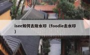 isee如何去除水印（foodie去水印）