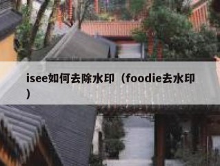 isee如何去除水印（foodie去水印）