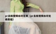 pr去除视频水印无痕（pr去除视频水印无痕教程）