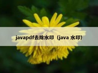 javapdf去除水印（java 水印）