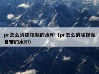 pr怎么消除视频的水印（pr怎么消除视频自带的水印）