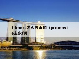 filmora怎么去水印（promovie去水印）