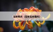 互粉照片（互粉互粉图片）