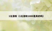 1元涨粉（1元涨粉1000是真的吗）