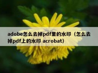 adobe怎么去掉pdf里的水印（怎么去掉pdf上的水印 acrobat）