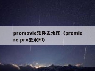 promovie软件去水印（premiere pro去水印）