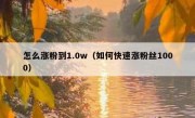 怎么涨粉到1.0w（如何快速涨粉丝1000）