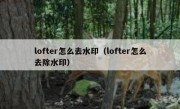 lofter怎么去水印（lofter怎么去除水印）