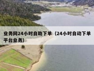 业务网24小时自助下单（24小时自动下单平台业务）