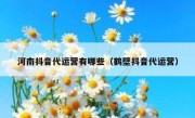 河南抖音代运营有哪些（鹤壁抖音代运营）