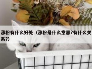 涨粉有什么好处（涨粉是什么意思?有什么关系?）