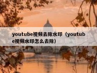 youtube视频去除水印（youtube视频水印怎么去除）