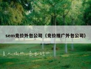 sem竞价外包公司（竞价推广外包公司）