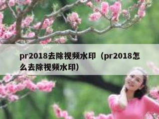 pr2018去除视频水印（pr2018怎么去除视频水印）