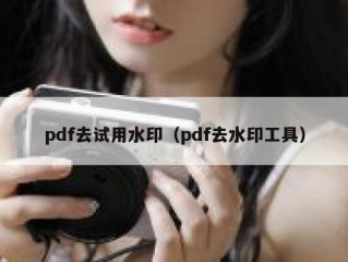 pdf去试用水印（pdf去水印工具）