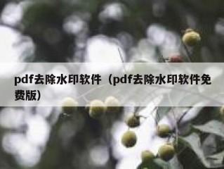 pdf去除水印软件（pdf去除水印软件免费版）