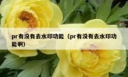 pr有没有去水印功能（pr有没有去水印功能啊）