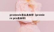 promovie怎么去水印（premiere pro去水印）