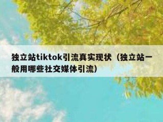 独立站tiktok引流真实现状（独立站一般用哪些社交媒体引流）