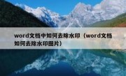 word文档中如何去除水印（word文档如何去除水印图片）