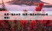 免费一键去水印（免费一键去水印的app有哪些）