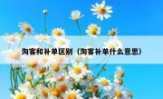 淘客和补单区别（淘客补单什么意思）