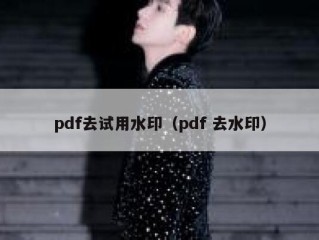 pdf去试用水印（pdf 去水印）