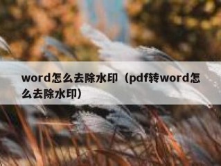 word怎么去除水印（pdf转word怎么去除水印）