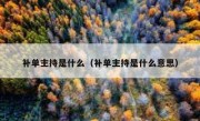 补单主持是什么（补单主持是什么意思）