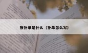 报补单是什么（补单怎么写）